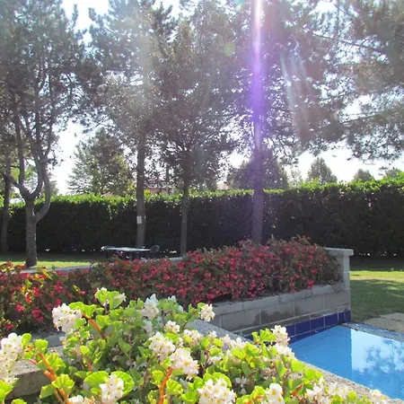 Let Us Welcome In Our - Beahost Μπιμπιόνε